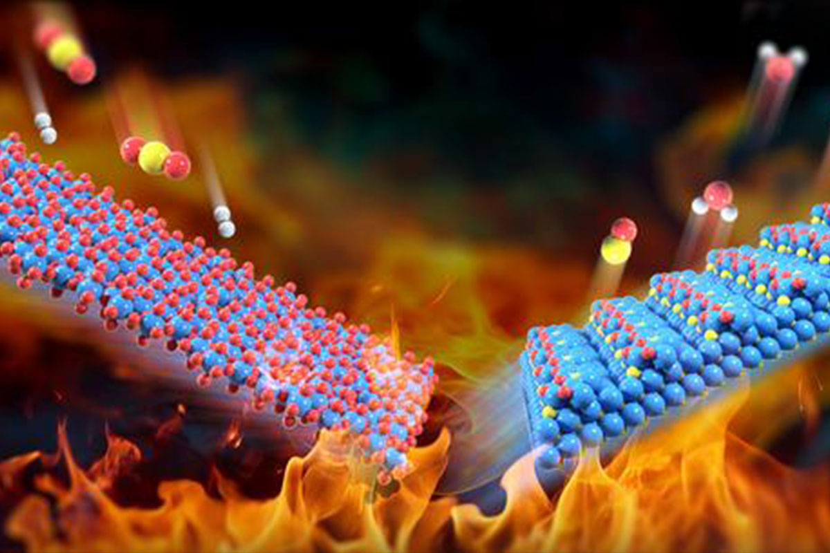 Molybdenum-science-vega molybdenum carbides carbon dioxide conversion