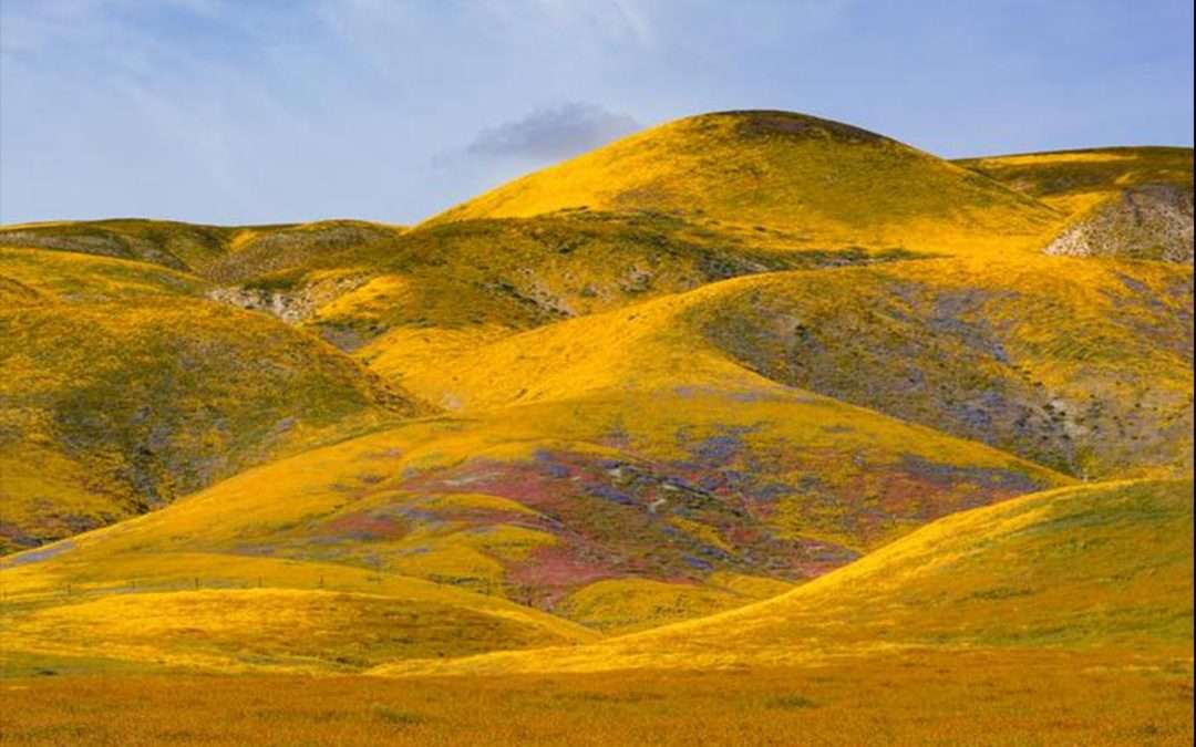 Grasslands live in the climate change fast lane