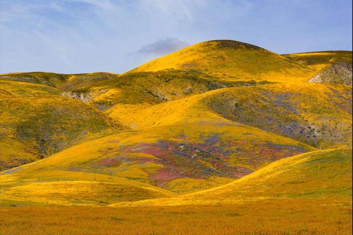 Grasslands-science-vega grasslands climate change