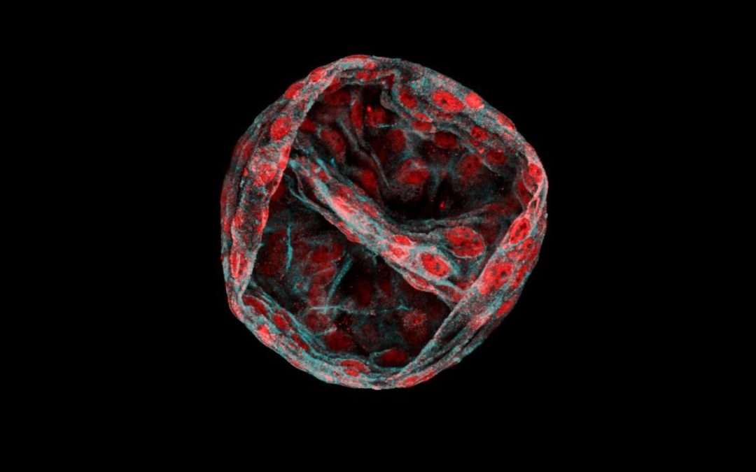 ‘Moonlighting’ enzymes can lead to new cancer therapies