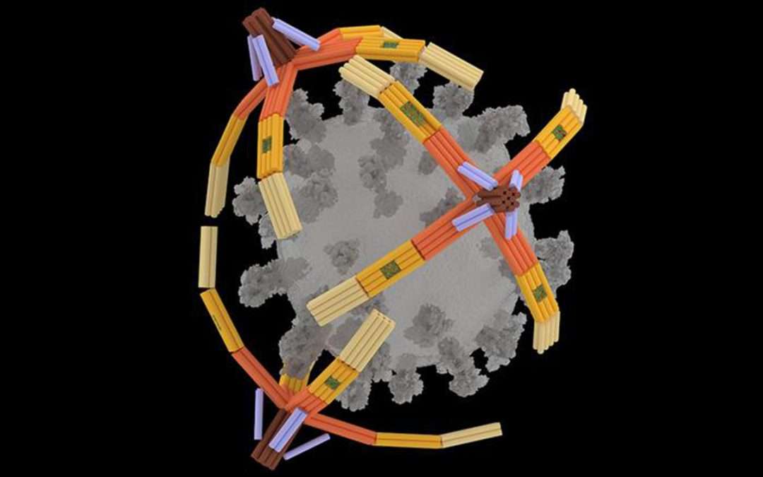 DNA nanorobot hand ‘grabs’ viruses