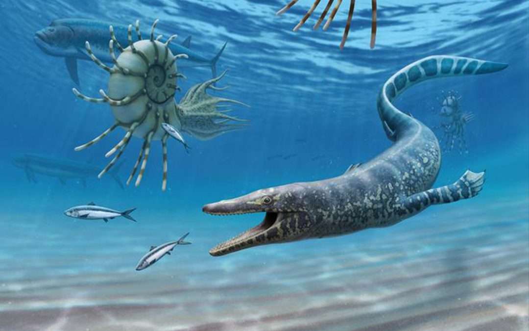 New insights into the evolution of mosasaurs
