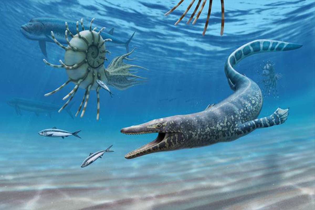 mosasaur evolution sea