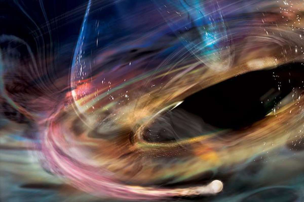 black hole supernova