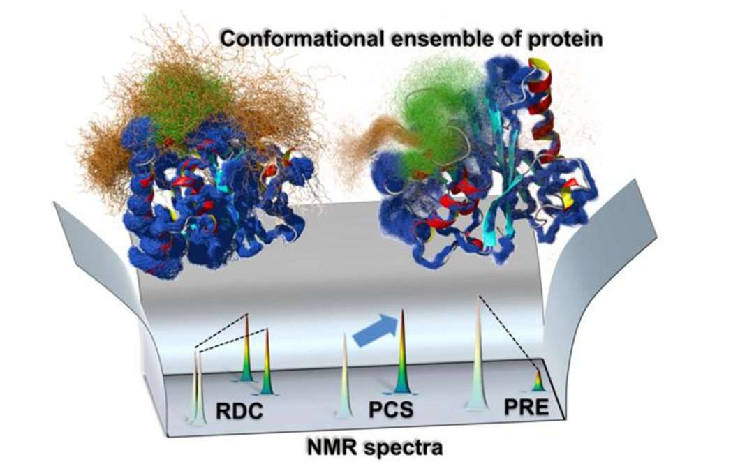 Enzymes ‘dance’ while they work