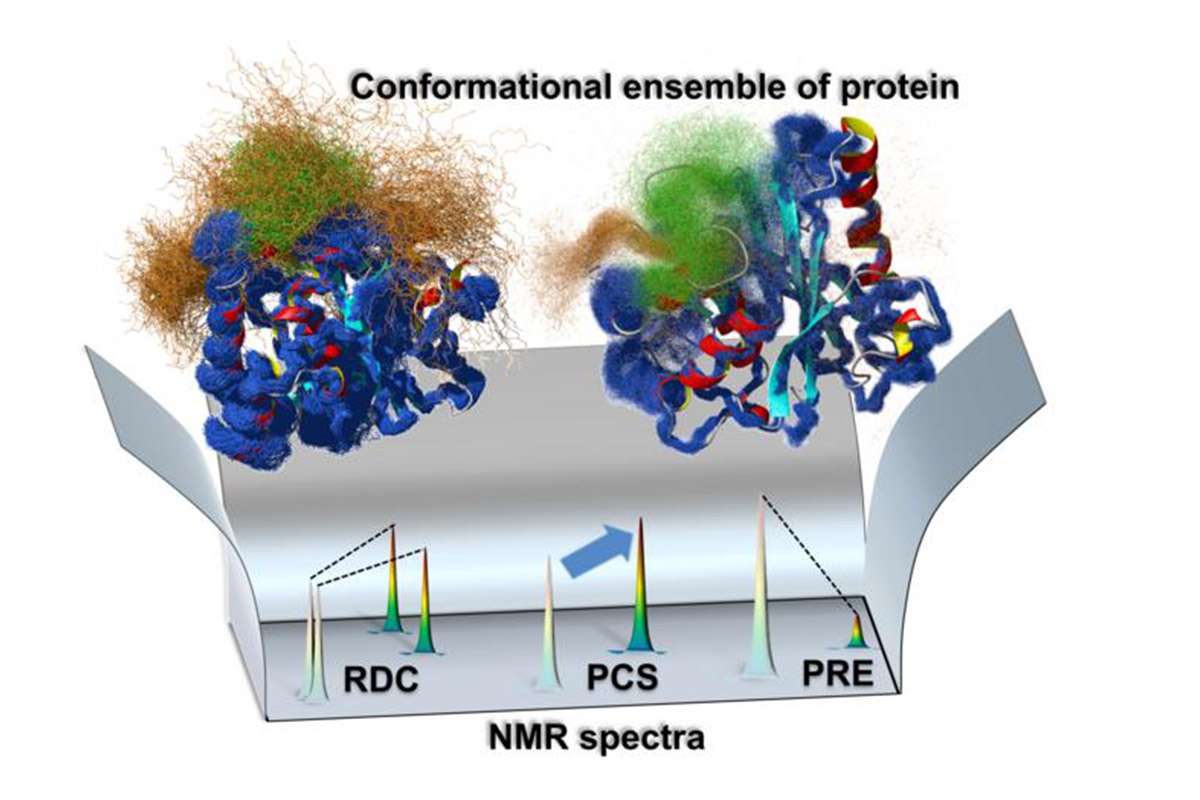 Protein-i-science-vega enzyme protein gating